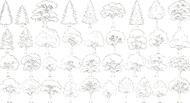 Set of coniferous and deciduous trees for architecture and landscape design, line drawing, contour. Vector illustration
