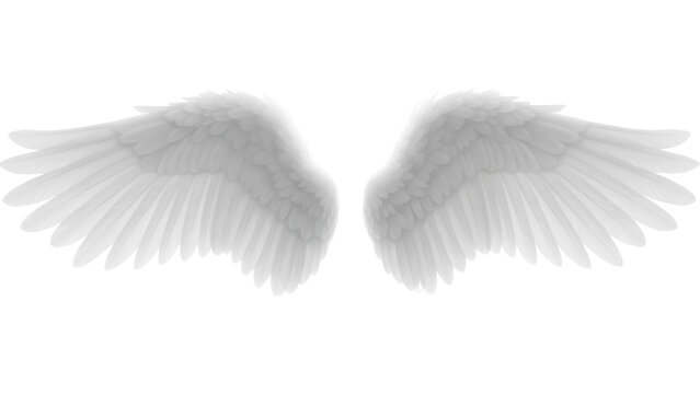 Elegant angel wings PNG isolated on transparent background, ethereal feathered wings for fantasy and spiritual designs