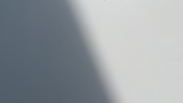 Side view of grey or gray cement wall with shadows. background. copy space, empty space, free, negative, text, design. texture. surface. black, dark. sunlight, sunshine. minimal.