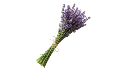 Fototapeta premium Fragrant lavender bouquet isolated PNG on transparent background, aromatic purple flower bunch for aromatherapy and relaxation