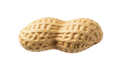 Single peanut in shell PNG isolated on transparent background, healthy snack food rich in protein and nutrients for diet and cooking