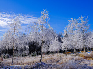 Zimowy g&oacute;rski pejzaż w pięknym porannym świetle