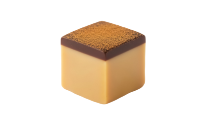 Delicious cube-shaped chocolate truffle with cocoa powder isolated PNG, gourmet dessert for confectionery and special occasion use