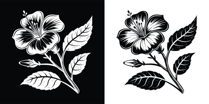 A detailed botanical illustration of a hibiscus flower with leaves, isolated on white background, showcasing the beauty of nature and floral elegance - Powered by Adobe