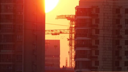 Birds flying over sky between two modern buildings with crane frame and big sun background at sunset time, 4k slow motion footage.