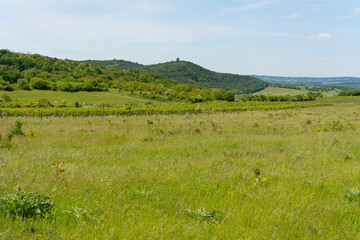 Obraz premium Landschaft auf der Halbinsel Tihany bei der Ortschaft Tihany im Nationalpark Balaton-Oberland, Balaton, Ungarn