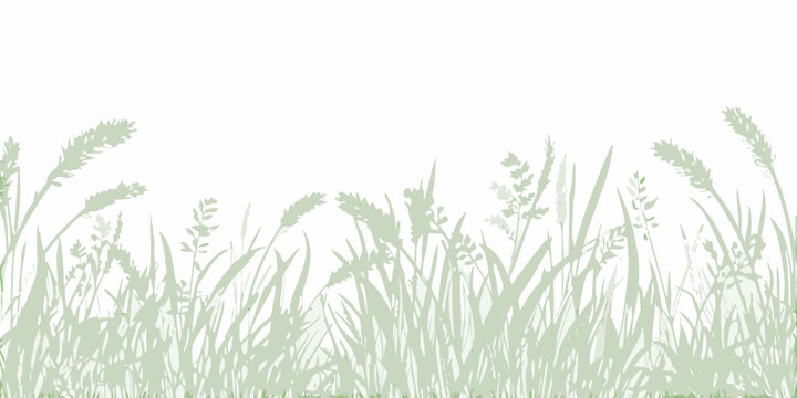 A simple illustration of green grasses and wheat stalks against a white background