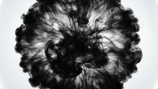 Gemini said
A studio portrait of a lion head isolated on black featuring the fur texture of an adorable domestic animal or purebred canine puppy