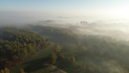 Naklejka premium Autumn morning with low-lying fog and colorful trees