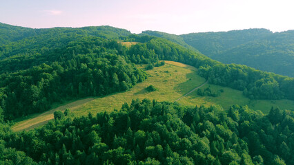 Naklejka premium Aerial view of natural forest greenery