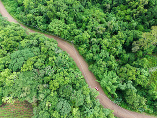 Aerial view of a sandy road between trees in southern Brazil
