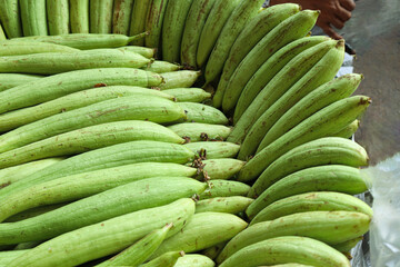 luffa gourd stock on shop