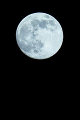 Obraz premium Full Moon in Clear Night Sky