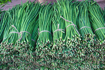 Yardlong bean stock on shop for sell