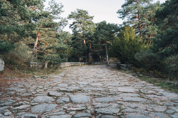 Ancient Roman Road through the Forest in Cercedilla, Spain