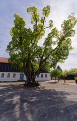 Schlo&szlig; der Stadt Kaltennordheim, Biosph&auml;renreservat Rh&ouml;n, Landkreis Schmalkalden-Meiningen in Th&uuml;ringen, Deutschland