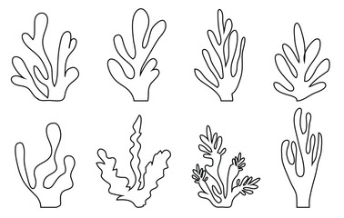 Fototapeta premium Organic seaweed and coral silhouettes in black; abstract underwater plant shapes, minimalist aquatic leaf collection; modern vector illustration set