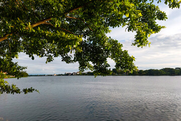 Lush Trees and Lake Water with Clouds