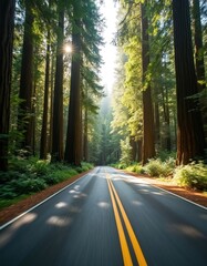 Fototapeta premium Asphalt road winds through tall redwood trees. Sunlight filters through branches onto the forest path. Drive, journey, and adventure through nature canopy.