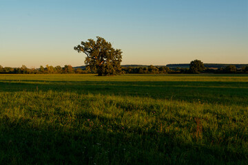 Sonnenuntergang im Vogelschutzgebiet NSG Garstadt bei Heidenfeld im Landkreis Schweinfurt, Unterfranken, Bayern, Deutschland