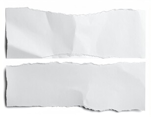 Torn, white paper scraps with jagged edges against a white background