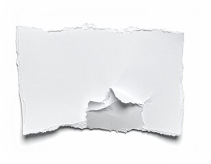 Torn white paper scrap with jagged edges, curled corner