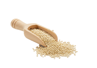Pearlescent white quinoa seeds spilling from an ergonomic, light-toned wooden scoop against a sterile white studio background with copy space, concept of wholesome health and natural purity.
