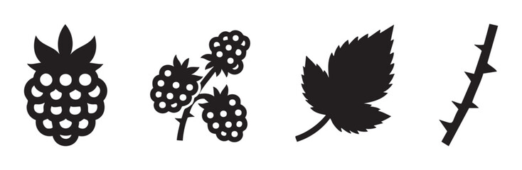 Raspberry and blackberry fruit, leaf, and thorny stem icons illustrate the various components of a bramble plant in a simple black silhouette vector style.