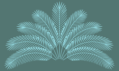 Palm leaves fan arrangement radiating palm fronds forming a circular composition, jungle-inspired symmetry, smooth continuous black outlines, flat line art vector © MdMujahidFakir
