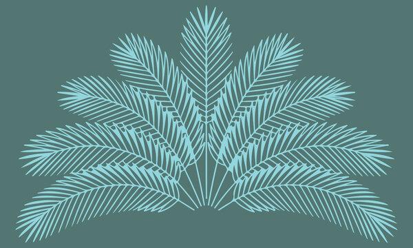 Palm leaves fan arrangement radiating palm fronds forming a circular composition, jungle-inspired symmetry, smooth continuous black outlines, flat line art vector