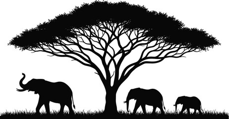 African elephant family silhouette under acacia tree, wildlife safari scene, black white nature illustration isolated background art © Mehedi
