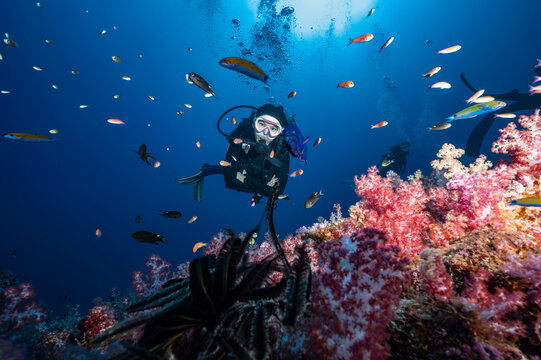 scuba diver exploring the clear water of the southern Andaman Sea