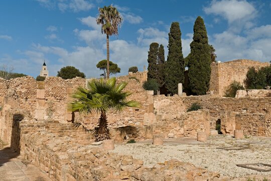 View of the Roman Villas and Malik ibn Anas Mosque in Carthage city. UNESCO World Heritage Site. Tunisia. Africa.