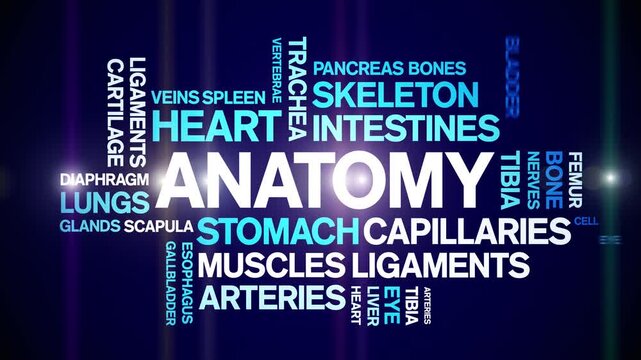 Anatomy animated word cloud-text design animation tag kinetic typography seamless loop.