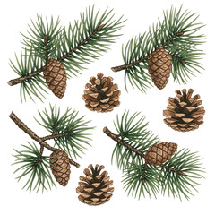 Fototapeta premium Pine cones resting on green Christmas tree branches create a natural winter holiday decoration