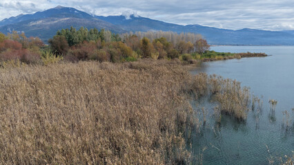 Fototapeta premium Wetland landscape of Lake Trichonida, Greece, with calm waters, rich biodiversity and natural reflections. A peaceful Mediterranean ecosystem ideal for nature and environmental themes.