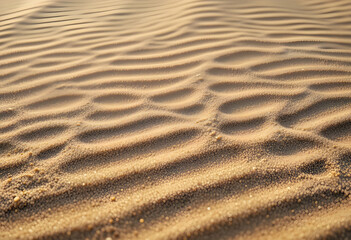 Fototapeta premium Close-up abstract of soft sand ripples forming natural flowing patterns, illuminated with gentle side light creating smooth shadows and calm, minimal texture lines.
