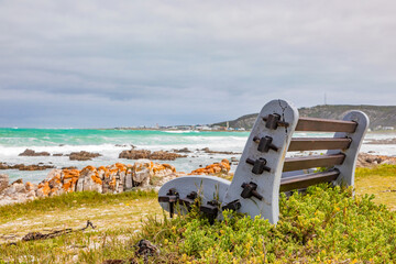 Wooden bench on decking provides idyllic coastal view, tranquil ocean horizon.