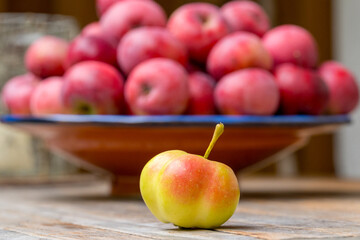 Ein Sternapfel vor einer Schale mit roten &Auml;pfeln