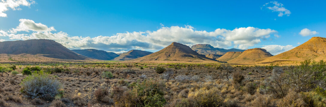View of Arid desert landscape in the Karoo