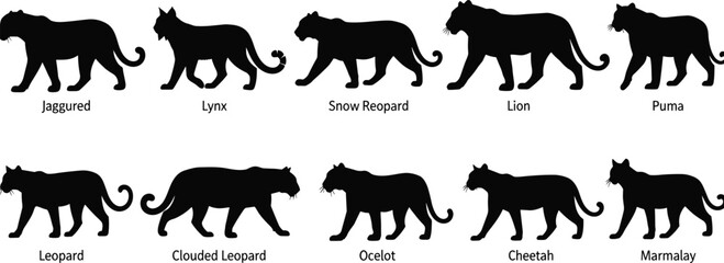 Wild Cat Species Silhouettes Set, Predatory Animals Black Icons, Diverse Feline Mammals Collection, Leopard, Lion, Cheetah, Jaguar, Lynx, Puma, Clouded Leopard, Ocelot