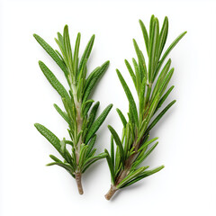 Fototapeta premium AI-generated image - Fresh, vibrant green rosemary sprigs (Rosmarinus officinalis), isolated on a white background. 