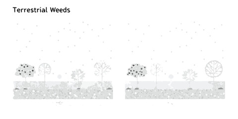 Simple illustration of trees and ground cover with a dotted background © Amrito