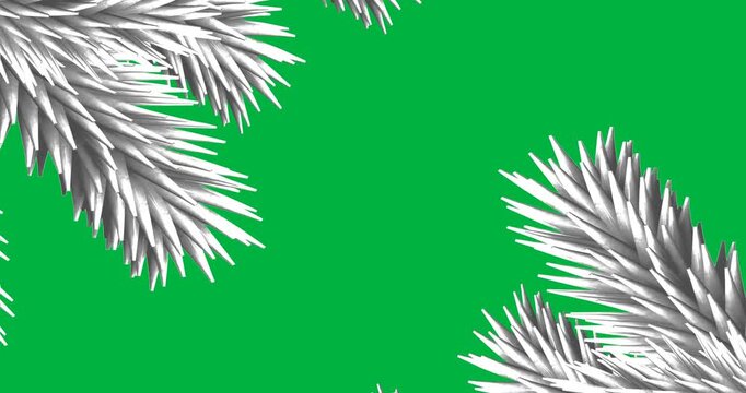 Animation of decoration with white fir tree branches on black background