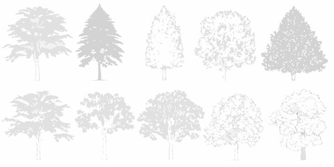 A collection of various tree silhouettes in grayscale tones © Ramanath