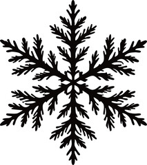 snowflake icon