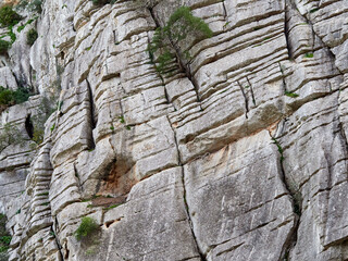 Karst landscape. It is a limestone relief that emerged from the sea, with whimsical formations, limestone pavements and towers. Canuto de la Utrera, Malaga, Andalucia, Spain. 