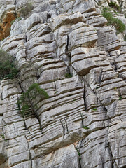 Karst landscape. It is a limestone relief that emerged from the sea, with whimsical formations, limestone pavements and towers. Canuto de la Utrera, Malaga, Andalucia, Spain. 
