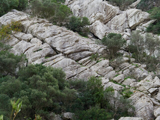 Karst landscape. It is a limestone relief that emerged from the sea, with whimsical formations, limestone pavements and towers. Canuto de la Utrera, Malaga, Andalucia, Spain. 