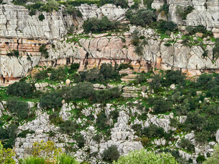 Karst landscape. It is a limestone relief that emerged from the sea, with whimsical formations, limestone pavements and towers. Canuto de la Utrera, Malaga, Andalucia, Spain. 
